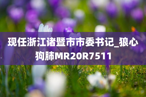 现任浙江诸暨市市委书记_狼心狗肺MR20R7511