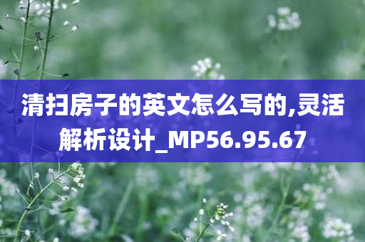 清扫房子的英文怎么写的,灵活解析设计_MP56.95.67