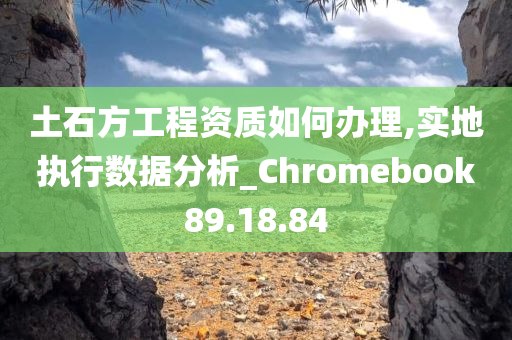 土石方工程资质如何办理,实地执行数据分析_Chromebook89.18.84