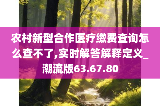 农村新型合作医疗缴费查询怎么查不了,实时解答解释定义_潮流版63.67.80