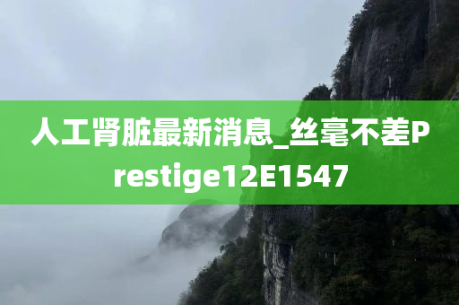 人工肾脏最新消息_丝毫不差Prestige12E1547