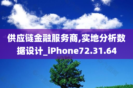 供应链金融服务商,实地分析数据设计_iPhone72.31.64