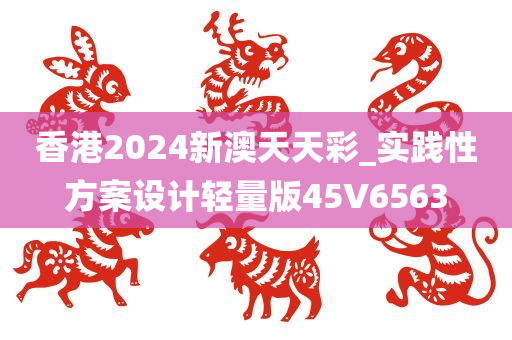 香港2024新澳天天彩_实践性方案设计轻量版45V6563