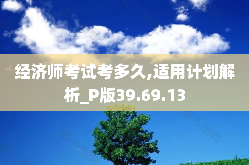 经济师考试考多久,适用计划解析_P版39.69.13