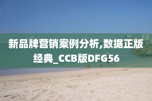 新品牌营销案例分析,数据正版经典_CCB版DFG56