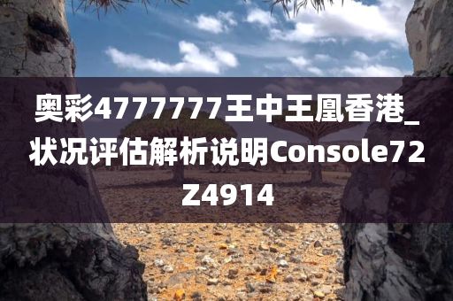 奥彩4777777王中王凰香港_状况评估解析说明Console72Z4914