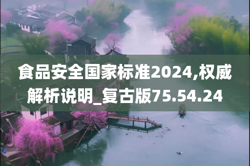 食品安全国家标准2024,权威解析说明_复古版75.54.24