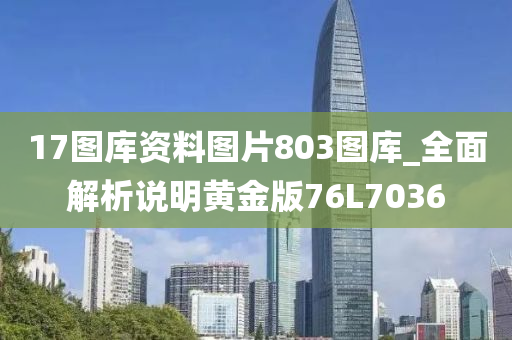 17图库资料图片803图库_全面解析说明黄金版76L7036