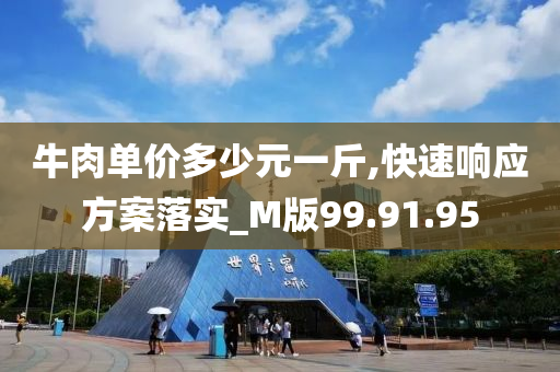 牛肉单价多少元一斤,快速响应方案落实_M版99.91.95