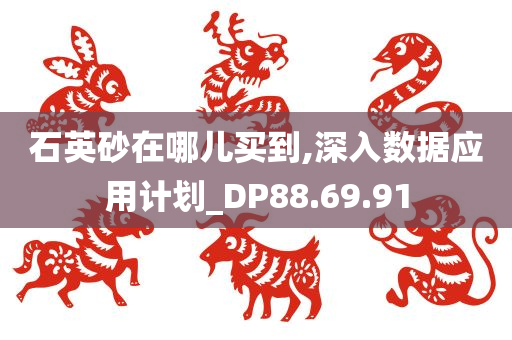 石英砂在哪儿买到,深入数据应用计划_DP88.69.91