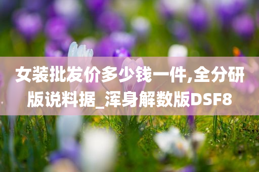 女装批发价多少钱一件,全分研版说料据_浑身解数版DSF8