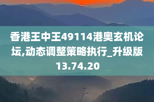 香港王中王49114港奥玄机论坛,动态调整策略执行_升级版13.74.20