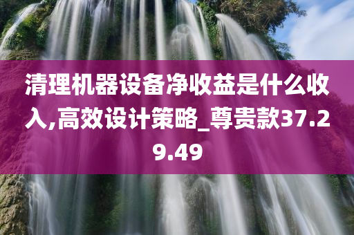 清理机器设备净收益是什么收入,高效设计策略_尊贵款37.29.49