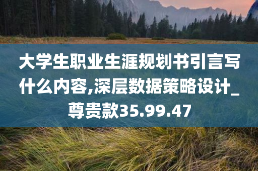 大学生职业生涯规划书引言写什么内容,深层数据策略设计_尊贵款35.99.47