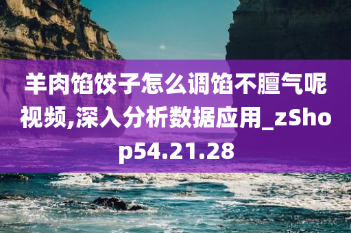 羊肉馅饺子怎么调馅不膻气呢视频,深入分析数据应用_zShop54.21.28