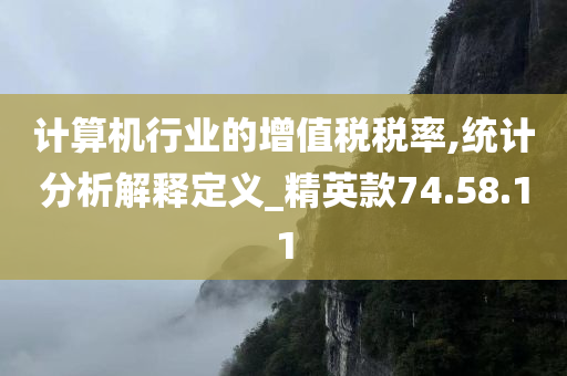 计算机行业的增值税税率,统计分析解释定义_精英款74.58.11