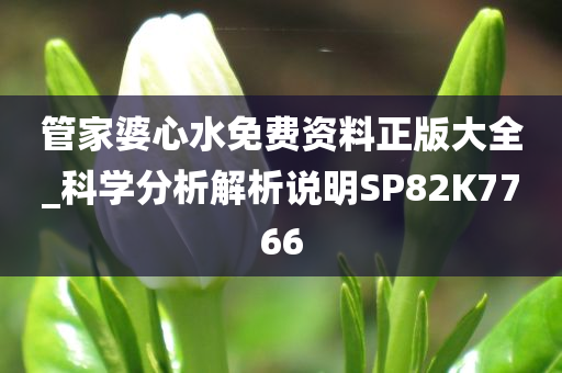 管家婆心水免费资料正版大全_科学分析解析说明SP82K7766