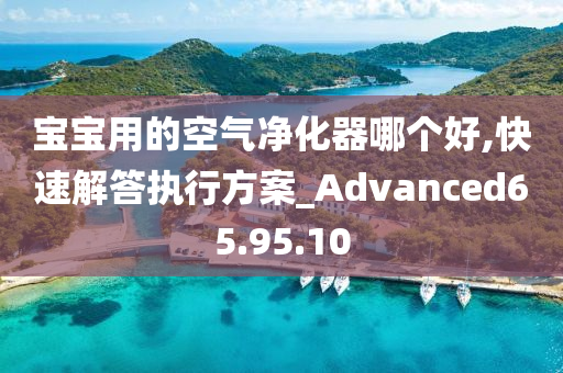 宝宝用的空气净化器哪个好,快速解答执行方案_Advanced65.95.10