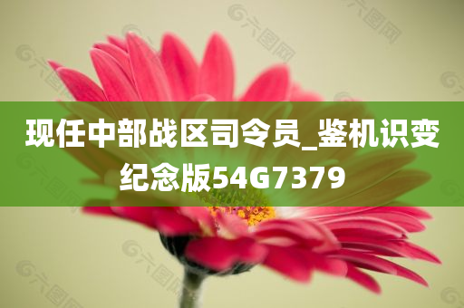 现任中部战区司令员_鉴机识变纪念版54G7379