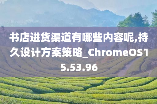 书店进货渠道有哪些内容呢,持久设计方案策略_ChromeOS15.53.96