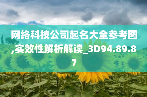 网络科技公司起名大全参考图,实效性解析解读_3D94.89.87