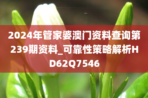 2024年管家婆澳门资料查询第239期资料_可靠性策略解析HD62Q7546