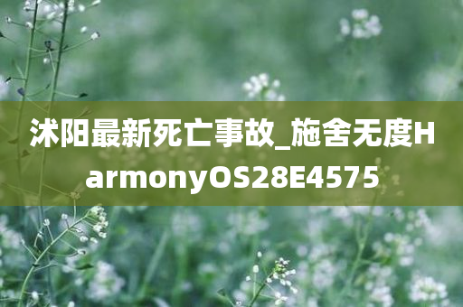 沭阳最新死亡事故_施舍无度HarmonyOS28E4575