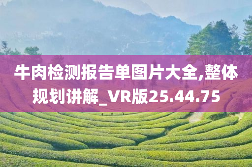 牛肉检测报告单图片大全,整体规划讲解_VR版25.44.75