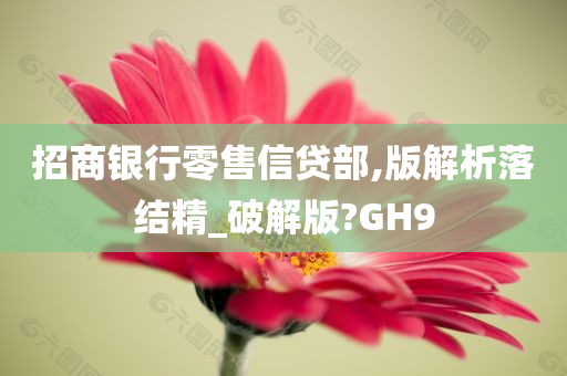 招商银行零售信贷部,版解析落结精_破解版?GH9