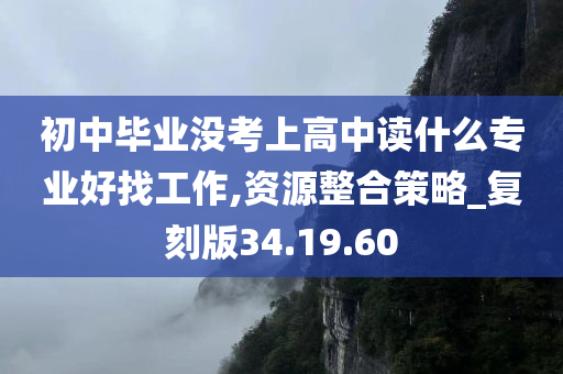 初中毕业没考上高中读什么专业好找工作,资源整合策略_复刻版34.19.60