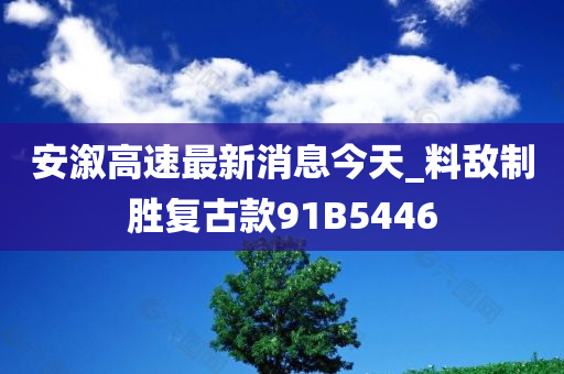 安溆高速最新消息今天_料敌制胜复古款91B5446