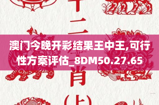 澳门今晚开彩结果王中王,可行性方案评估_8DM50.27.65