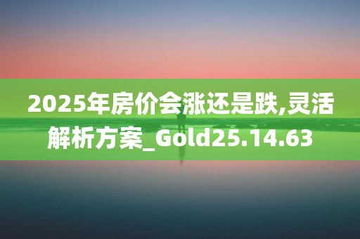 2025年房价会涨还是跌,灵活解析方案_Gold25.14.63