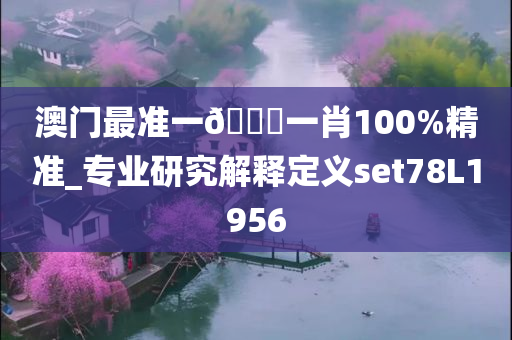 澳门最准一🐎一肖100%精准_专业研究解释定义set78L1956