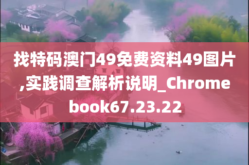 找特码澳门49免费资料49图片,实践调查解析说明_Chromebook67.23.22