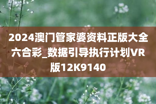 2024澳门管家婆资料正版大全六合彩_数据引导执行计划VR版12K9140