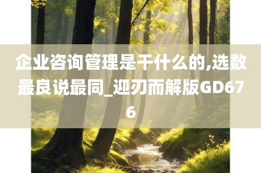 企业咨询管理是干什么的,选数最良说最同_迎刃而解版GD676