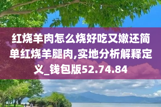 红烧羊肉怎么烧好吃又嫩还简单红烧羊腿肉,实地分析解释定义_钱包版52.74.84