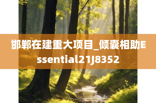 邯郸在建重大项目_倾囊相助Essential21J8352