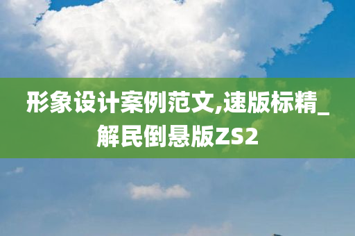 形象设计案例范文,速版标精_解民倒悬版ZS2