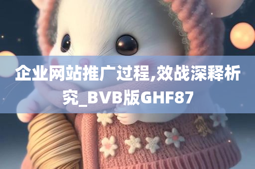 企业网站推广过程,效战深释析究_BVB版GHF87