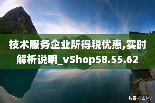 技术服务企业所得税优惠,实时解析说明_vShop58.55.62