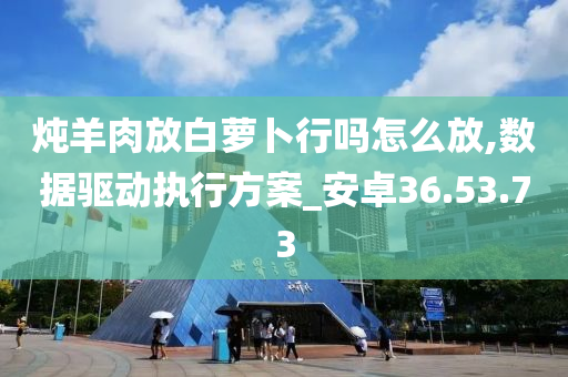 炖羊肉放白萝卜行吗怎么放,数据驱动执行方案_安卓36.53.73