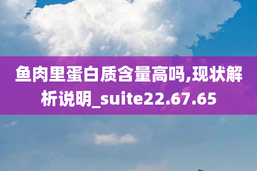 鱼肉里蛋白质含量高吗,现状解析说明_suite22.67.65