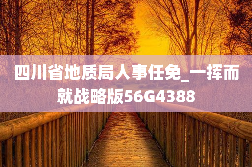 四川省地质局人事任免_一挥而就战略版56G4388