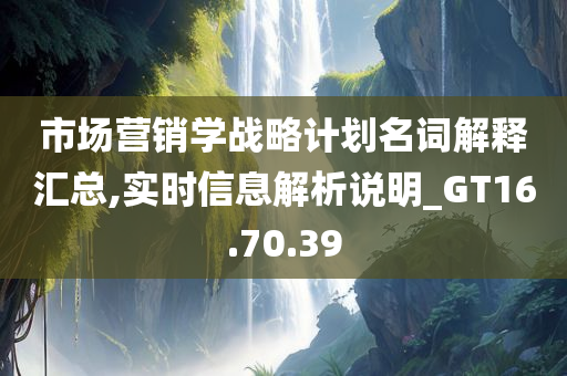 市场营销学战略计划名词解释汇总,实时信息解析说明_GT16.70.39