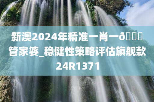 新澳2024年精准一肖一🐎管家婆_稳健性策略评估旗舰款24R1371