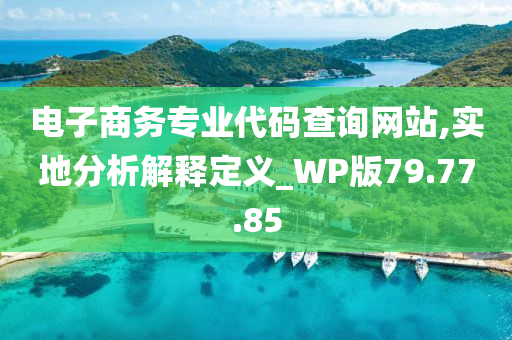 电子商务专业代码查询网站,实地分析解释定义_WP版79.77.85