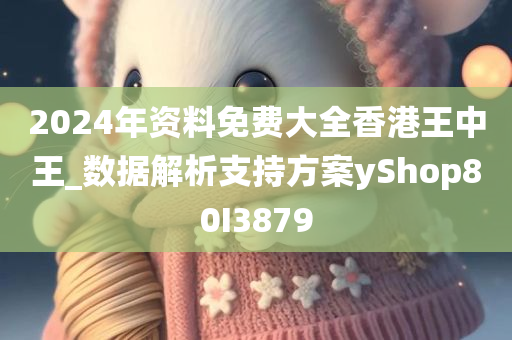 2024年资料免费大全香港王中王_数据解析支持方案yShop80I3879