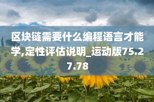 区块链需要什么编程语言才能学,定性评估说明_运动版75.27.78